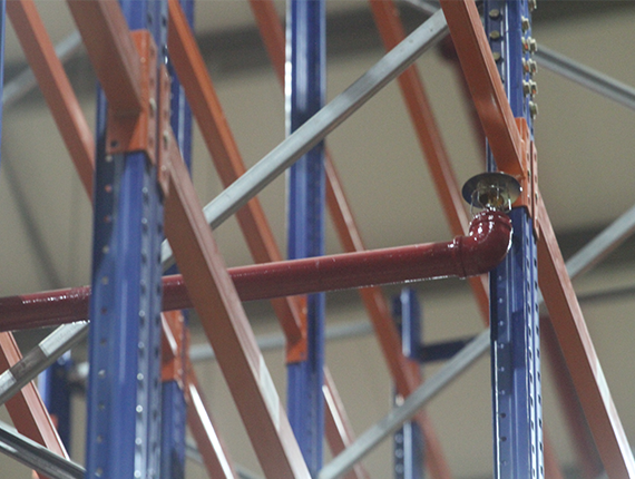 Respecting the Environment